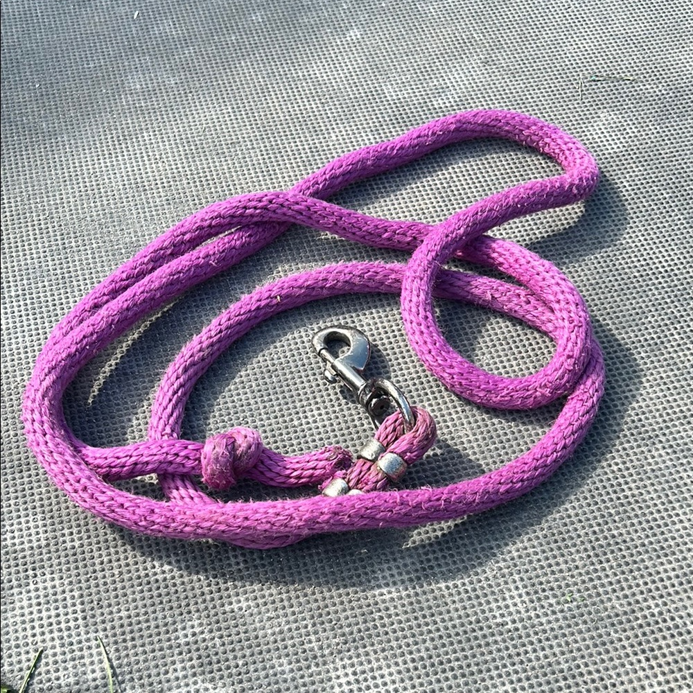 Pink Braided horse Leash